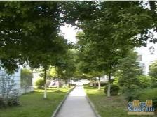 新芳邻2室南朝向225.00万元/套出售