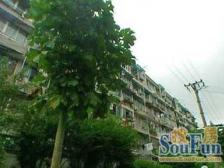 鹏程苑2室南朝向380.00万元/套出售