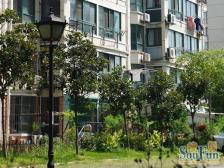 逸兴家园3室2厅南南