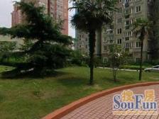 顶层复式双露台,内环内近地铁,进才北。