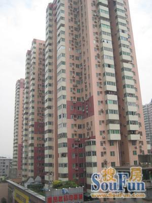 康丽居