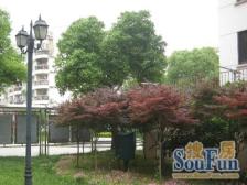 嘉福坊2室2厅1卫南朝向440.00万元/套出售