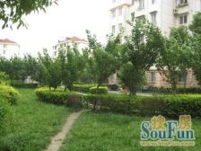 丰庄·嘉福坊·5室·3厅