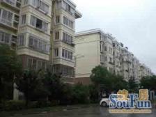 户型超级好两房两厅南北通透低楼层非一楼必看