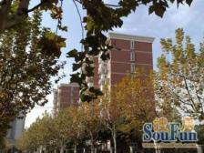 近地铁 入住快,无抵押,产权清晰 必看好房