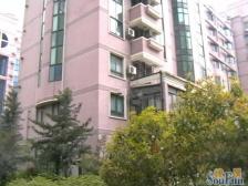 品质小区,电梯房,繁华地段,精装修,大开间,采光充足