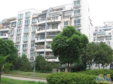 近地铁 中间楼层,电梯房,产权清晰 店长力推