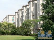 **·兴荣苑·1室·1厅