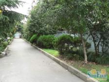 **·和平小区-罗秀路930弄·1室·1厅