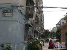 和平小区(徐汇) 2室1厅 南