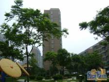 古美罗阳·望族新城·4室·2厅