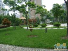 电梯房,中间楼层,采光好,视野好