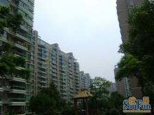 望族新城2室2厅1卫南朝向800.00万元/套出售