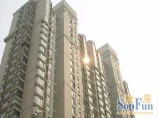 电梯房,小区中心位置,交通便利,精装修,采光充足