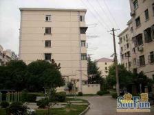 巨东小区新出精装修南北通两房,业主诚售,随时可以安排看房。