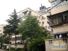 洋泾·巨**区·1室·1厅