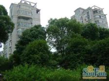 欧风花都,品质小区,电梯房 中间楼层 热销好房