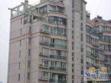 门店主推,满五年,精装修得房率高