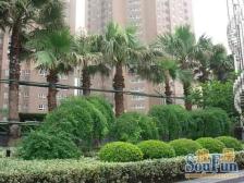 龙华·徐汇苑·5室·3厅