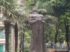 品质小区,四大名园,超大花园,小高层,必看好房