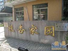 2000年小区,1梯2户,秋季时候银杏打卡点