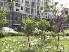 周浦·佰田大富苑·3室·2厅,双澧溪