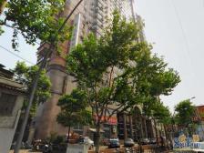 近4号线大连路站,主卧带弧形阳台,景观视野开阔