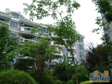 无抵押,产权清晰,通风好,新上房源