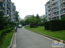 东方御花园 2室1厅 南