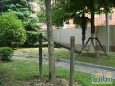 上虹新村 2室1厅 南 北