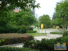 金虹桥·老上虹新村·2室·1厅