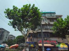 精装修,业主诚意出售,随时看房,拎包入住