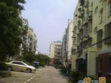 普陀中环边边套全明两房采光刺眼无遮挡随时可看钥匙房