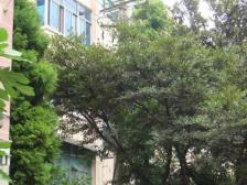 边套南北两房,户型通透,楼层好,适合自住,近地铁