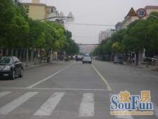 龙柏二村 2室1厅 南 北