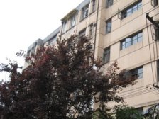 房子满五年,位置好,户型全明,采光无遮挡,诚意卖