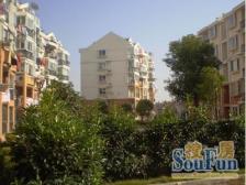 御桥馨华苑 2室1厅 南