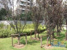 (店长推荐)苏州河畔,一梯一户,电梯洋房,全房地暖