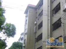 精装两房 一楼带氛围感 小院 居住 舒适