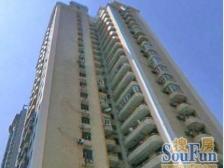 北滨江 全明户型 地铁口 交通便利 百 万装修。