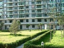 近地铁,近公园,南北边套二房,98年商品房