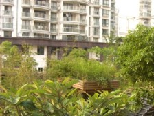 此房06年小区板式楼,两梯三户,全南满眼绿化、大阳台