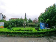 凤凰楼层,采光很好,光线充足,电梯房 视野宽阔