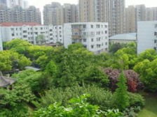 总价低,中区电梯房,诚意出售,全明户型,位置安静,