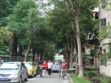 六村两房一厅,南北全明,采光好前排无遮挡