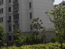 静安中环-金3层-04年商品房-高品质小区-诚意出售