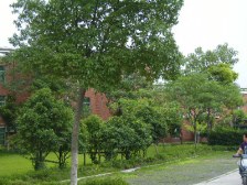 1号线衡山路地铁口+2房全明户型+高区视野+业主诚售!