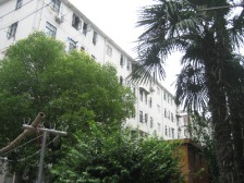 江湾 · 凉城路1201弄 · 2室 · 2厅