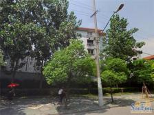 一楼带大天井,00年小区,一梯两户