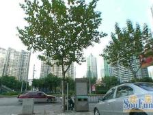 长寿·日月星*·3室·2厅